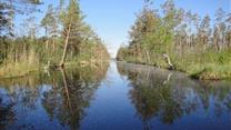 64 земельных участка под усадьбы по 1 гектару